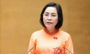 'Rút ngắn nhiệm kỳ đại biểu Quốc hội để sớm kiện toàn nhân sự cấp cao'