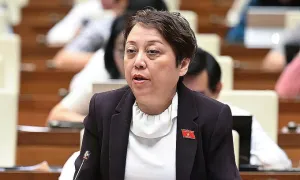 Đại biểu Phạm Khánh Phong Lan: 'Cần giữ án tử hình với tội sản xuất thuốc giả'